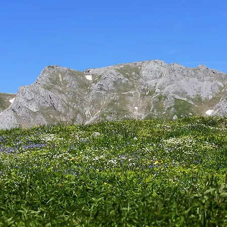 Alpenstern Vordernberg