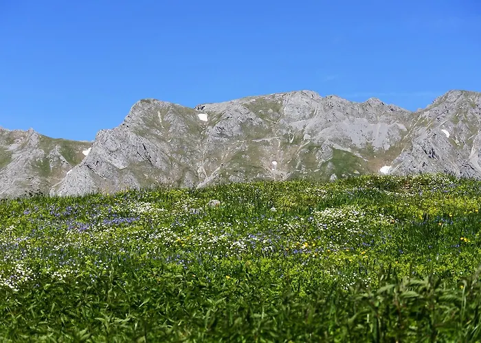 Alpenstern Vordernberg